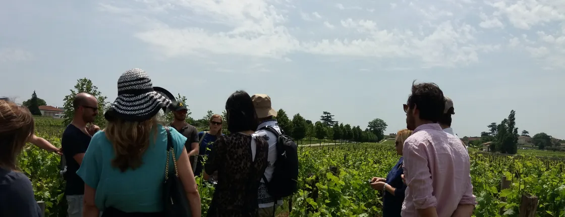 Half-day trip to Saint-Emilion wine estates from Bordeaux