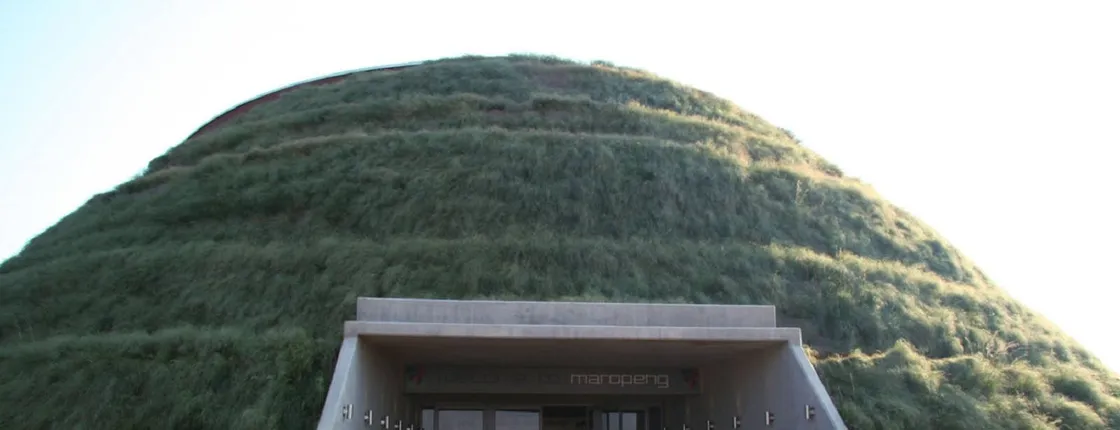 Cradle of Humankind half-day tour from Johannesburg