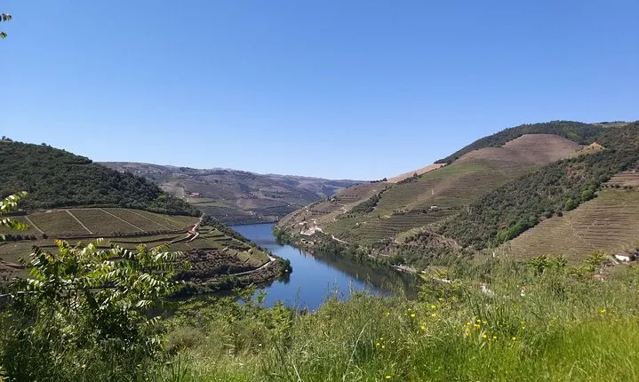 Private Tour to the rock art of Côa Park, Pinhão and Winery