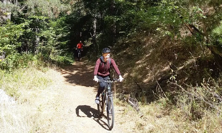 Mountainbike Magic: Vienna's Forest and Fresh Grape Juice
