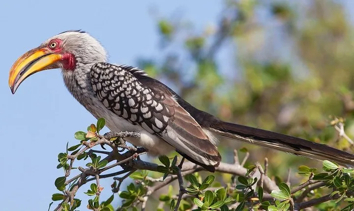 2 Days 1 Night Mikumi National Park from Dar es salaam
