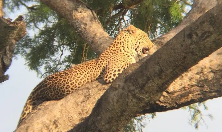 Three days escape to Queen Elizabeth National park