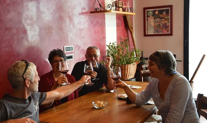 4 WINES TASTING in a Chianti Classico Farm (Visit/tour at the winery included)