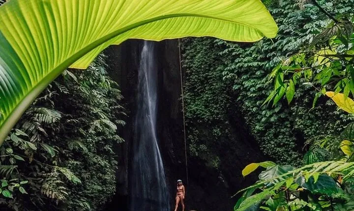 Bali : Northern Bali Private Day Trip with Transfer