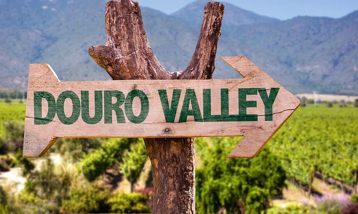 Douro Valley Tour from Peso da Regua