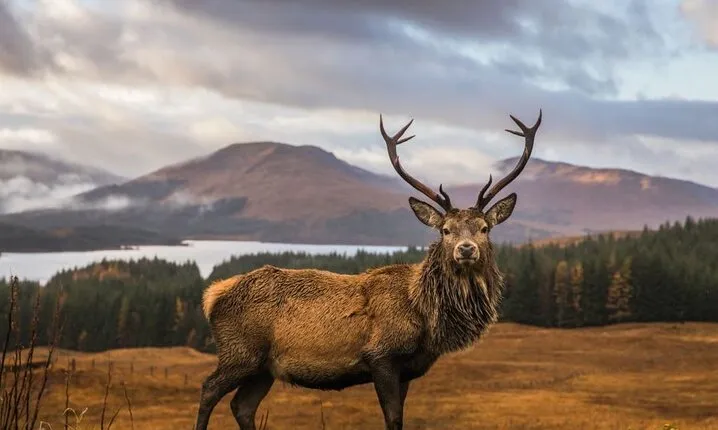 Private Isle of Skye Tour