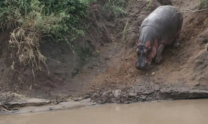 Safari privé de 2 jours au Tarangire et au Ngorongoro
