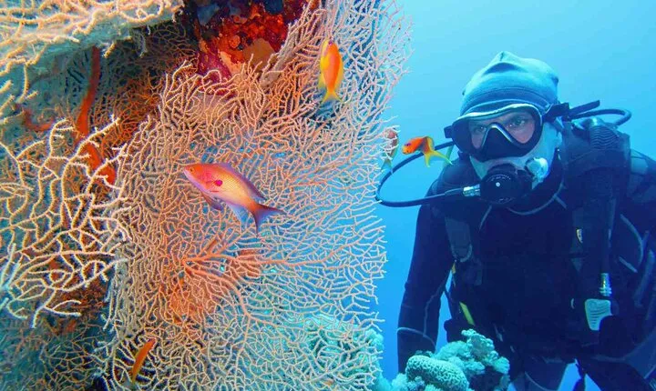 PADI Open Water Diving Course with Transfer - Sharm El Sheikh