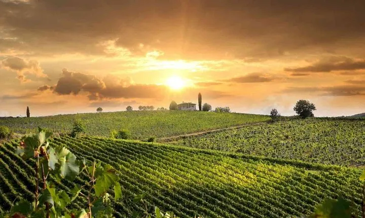 Montepulciano and Pienza Tuscany Wine&Cheese Fullday from Rome