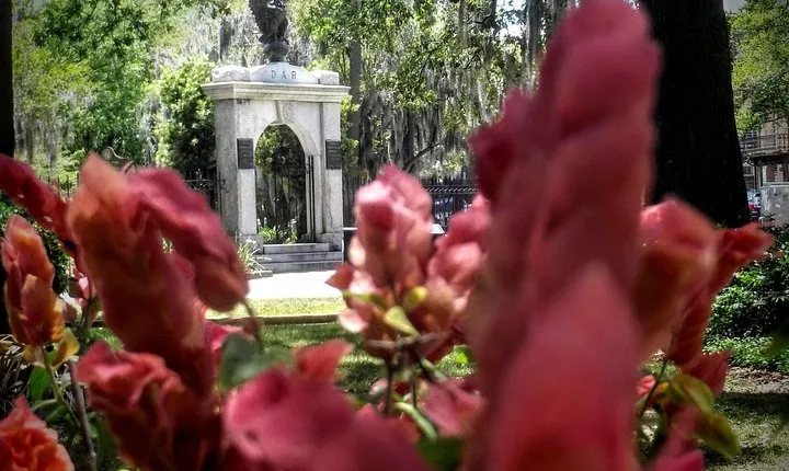 Botanical Tour (by Walk With Me Savannah Tours)