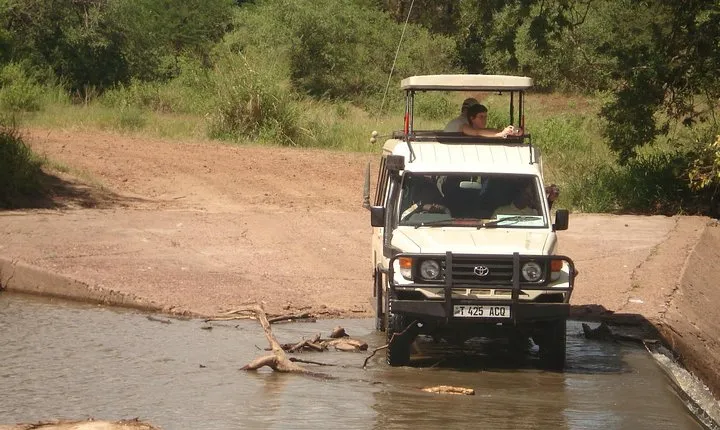 6 Days Tanzania; Lake Manyara,Eyasi,Serengeti,Ngorongoro and Tarangire