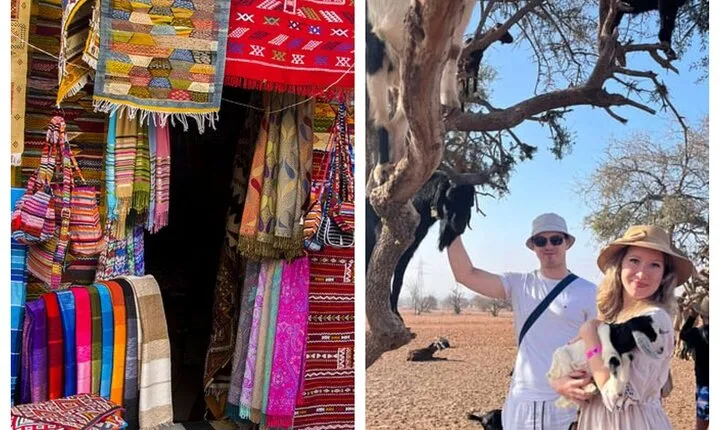 Agadir Half-Day Tour : Goats in Argan Trees & Souk El Had Visit