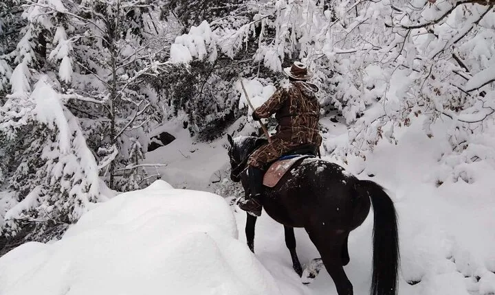 1 Hour Waterfalls Canyon Private Horse Riding in Smolyan