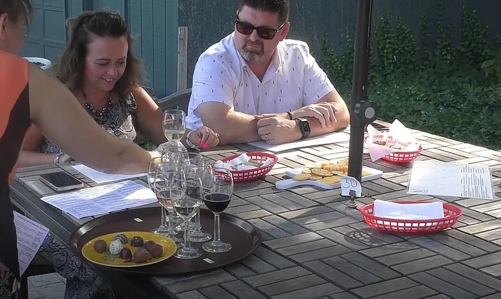 Vintage Wine Tour In Niagara County USA