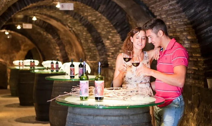 The Authentic Rioja Alavesa wine experiences 