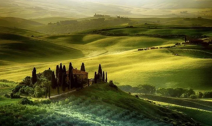 Day trip from Florence: Deluxe Wine Tasting Tour in Montalcino - private tour