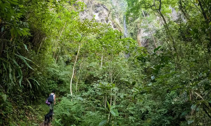 Private Tour through the Chicaque Natural Park and Forest of Fog