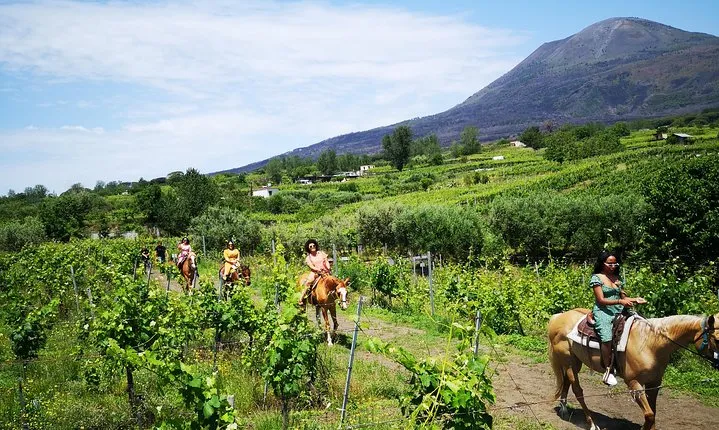 Pompeii Guided Tour & Horse Riding on Vesuvius with Lunch