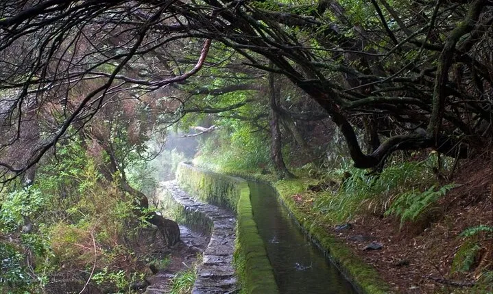 Rabaçal 25 Fontes Madeira Island Walk