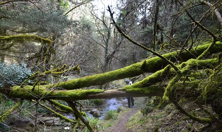 One Day Hiking Escape to Arcadia Forests and Rivers