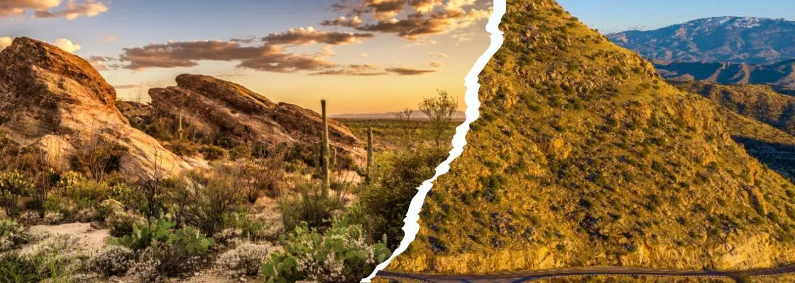 Saguaro National Park and Mt. Lemmon Self-Guided Audio Tour