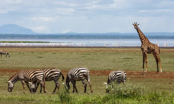 3-Day Tour to Tarangire, Ngorongoro and Lake Manyara Park