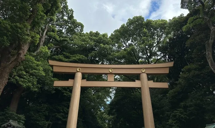 3 Hour Private Tokyo Meiji Jingu Shrine Wellness Tour
