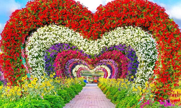 Dubai Miracle Garden Skip the Line Ticket and Transfer Option