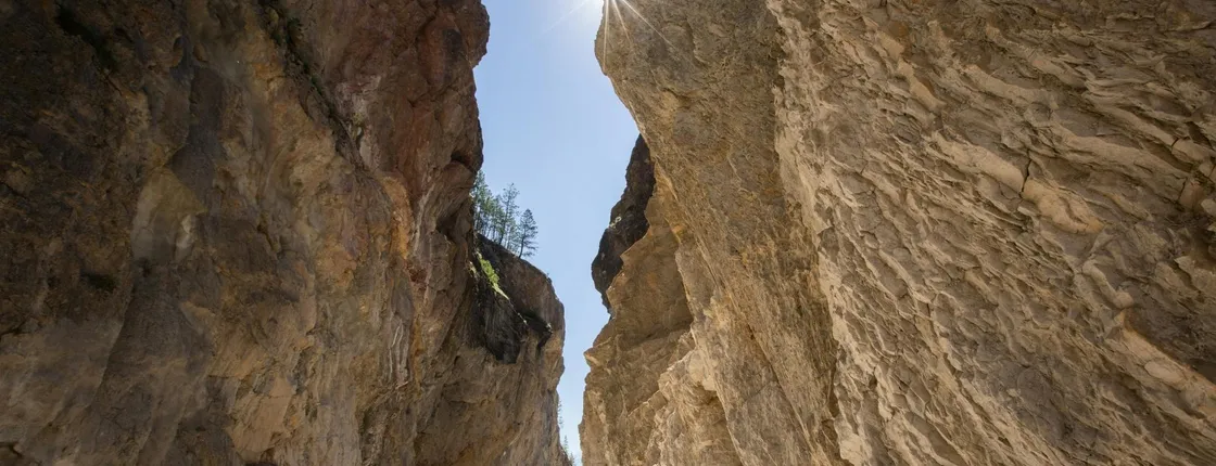 Kootenay National Park full-day tour from Calgary