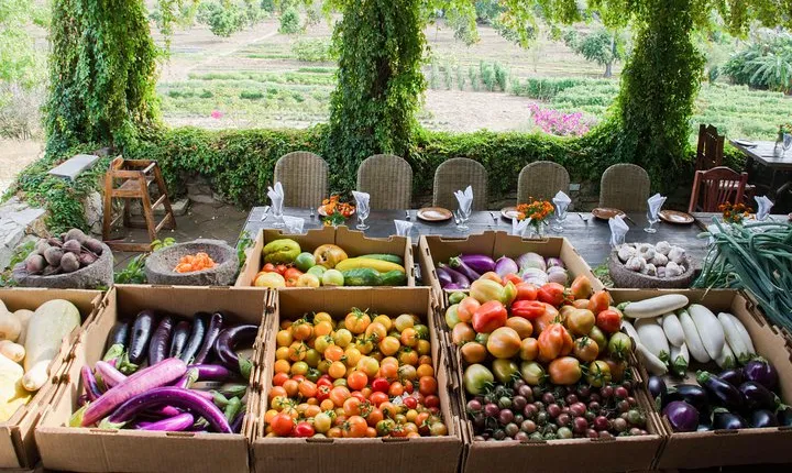 Organic Farm to Table