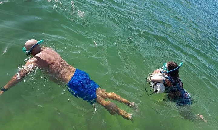 Miami Snorkeling for Beginners from Bayside Market Place 