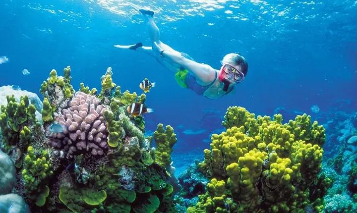 Snorkel, ATV, Zipline and Cenote Adventure from Cancun