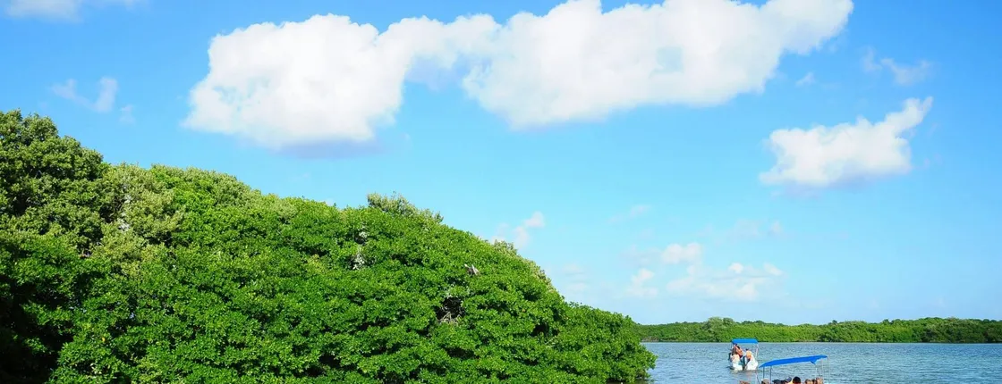 Sian Ka'an safari tour and boat trip