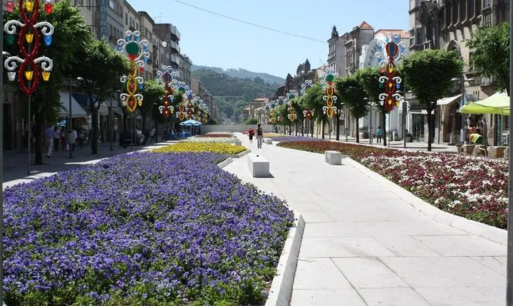 Private tour to Ponte de Lima, Vinho Verde region