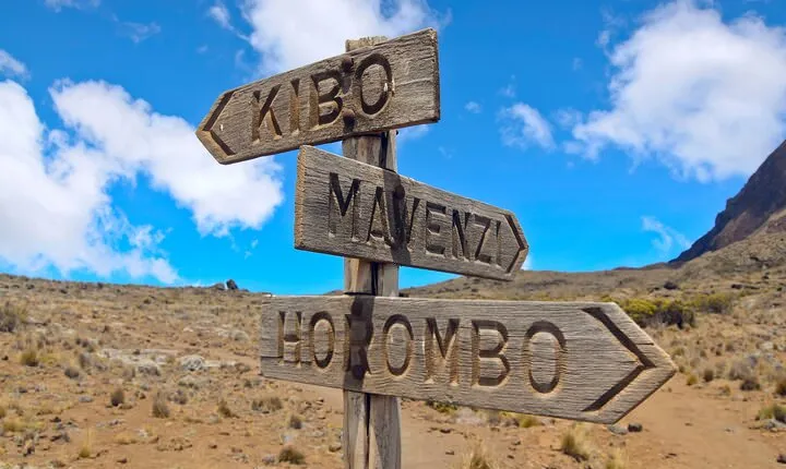 8 Days Mountain Kilimanjaro Lemosho Route