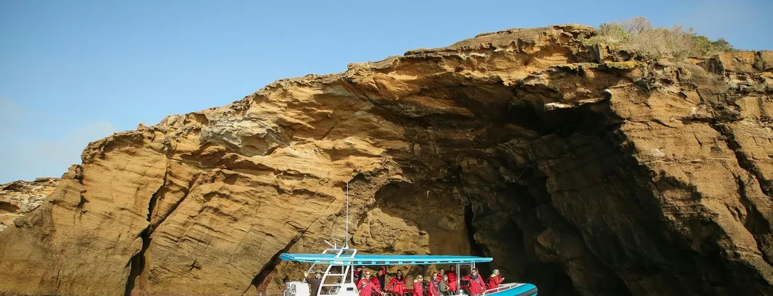 Hunter coastal adventure boat tour