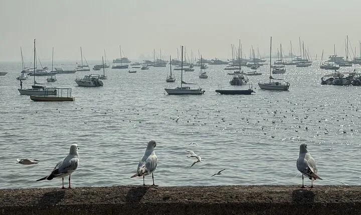 Mumbai: A Symphony of Seven Islands - Get Local in 1 Day