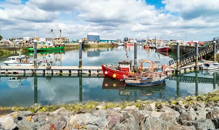 Dublin Great Famine Tour with Fast-Track EPIC Museum Tickets