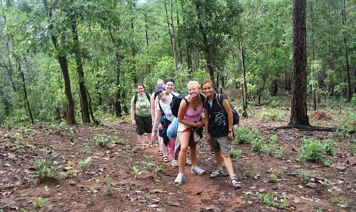 2D1N Mae Wang National Park Jungle Trekking Adventure from Chiang Mai