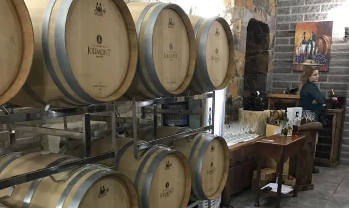 Jolimont Winery Tour - Visitation and Tasting - Canela RS