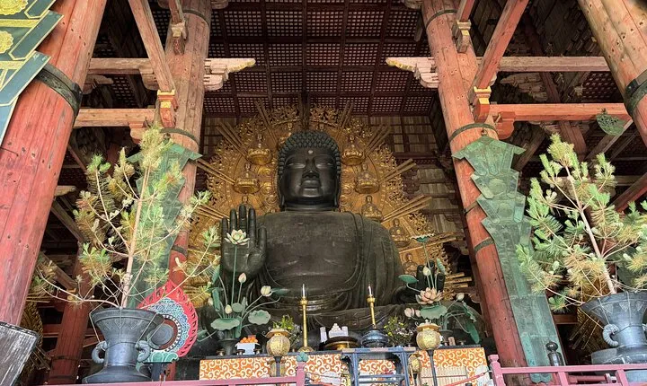 Nara: Half-Day Private Tour of 4 Must-See Spots & Deer Park