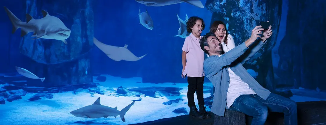 LEGOLAND® California and SEA LIFE® Aquarium 2-Day Hopper Tickets