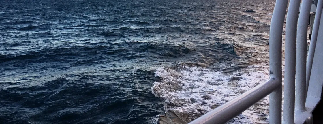 TUI Reykjavik Whale Watching Tour