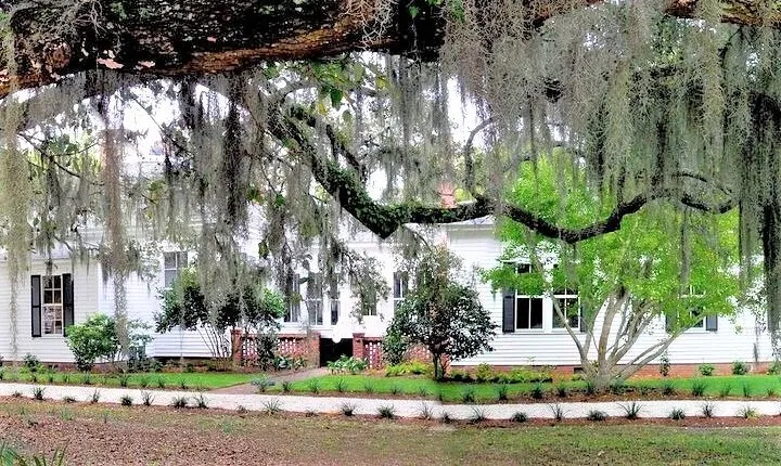 Hilton Head Honey Horn Admission with Guided Tour