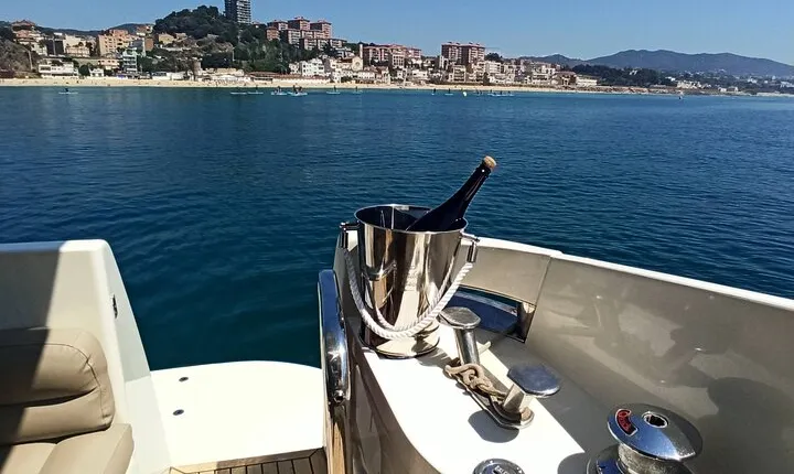 Private Tour with Navigation and Visit to Alella Vineyards