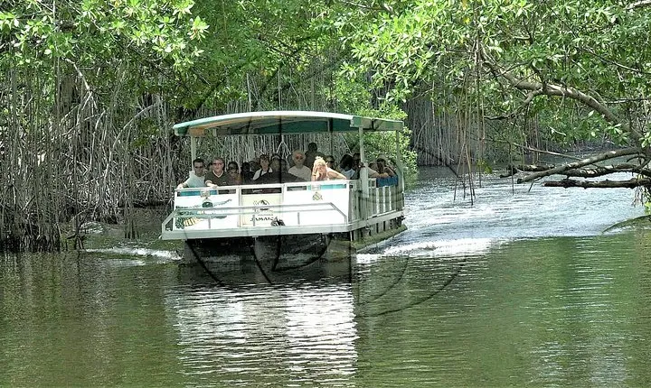 YS Falls plus Black River Safari Guided Tour w/Lunch & Admission from Falmouth