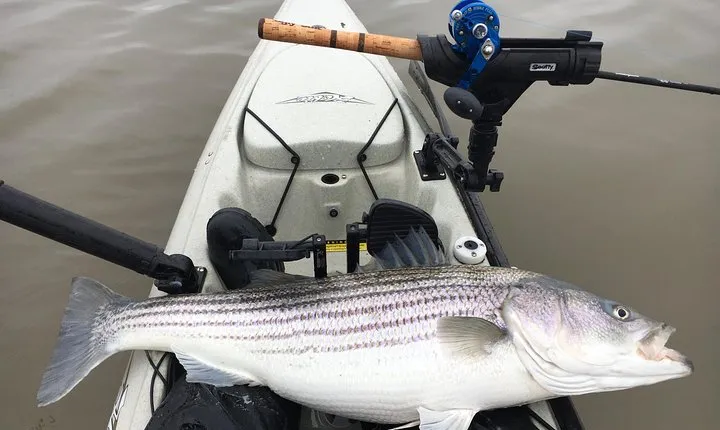 Guided Kayak Fishing Tour