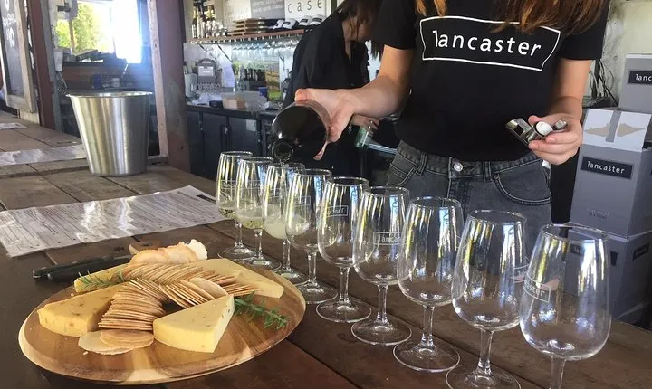 Swan Valley Wine Tour - Full Day