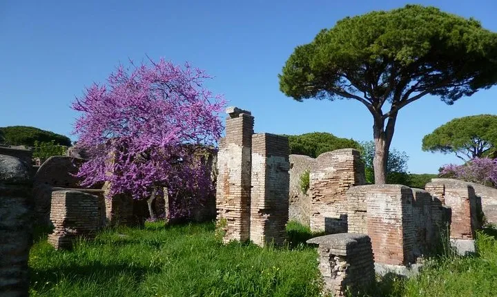 Ancient Ostia from Rome Private Tour with Tickets, Pick-up and Drop-off