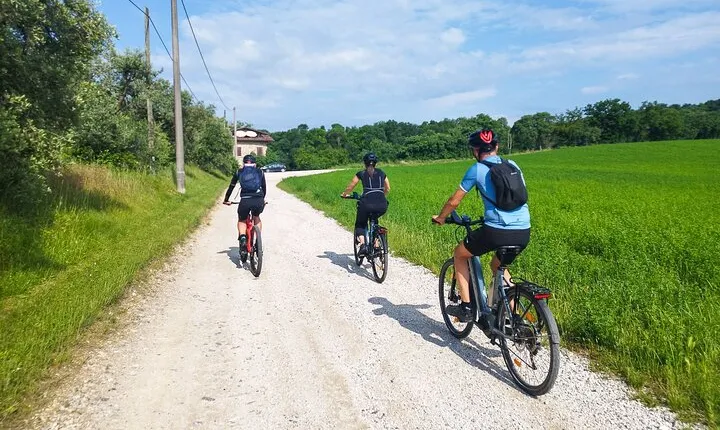 E-Bike tour and Wine tasting from Desenzano Inland